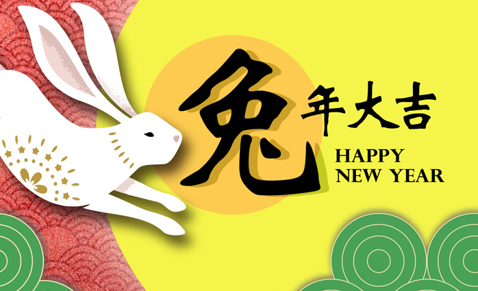 Wish you good luck in the year of the rabbit