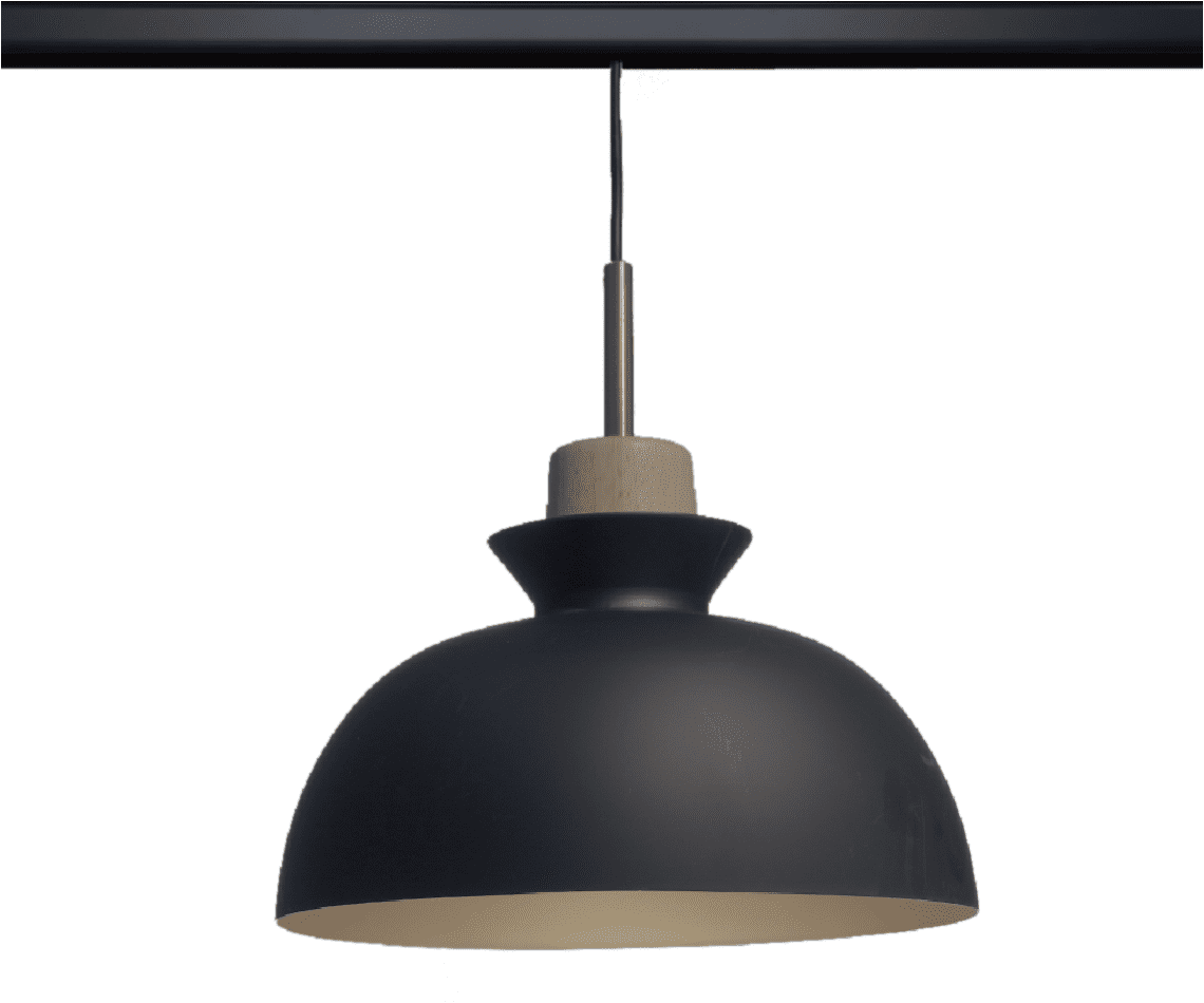 9W/12W Pendant Lights TS-B1006