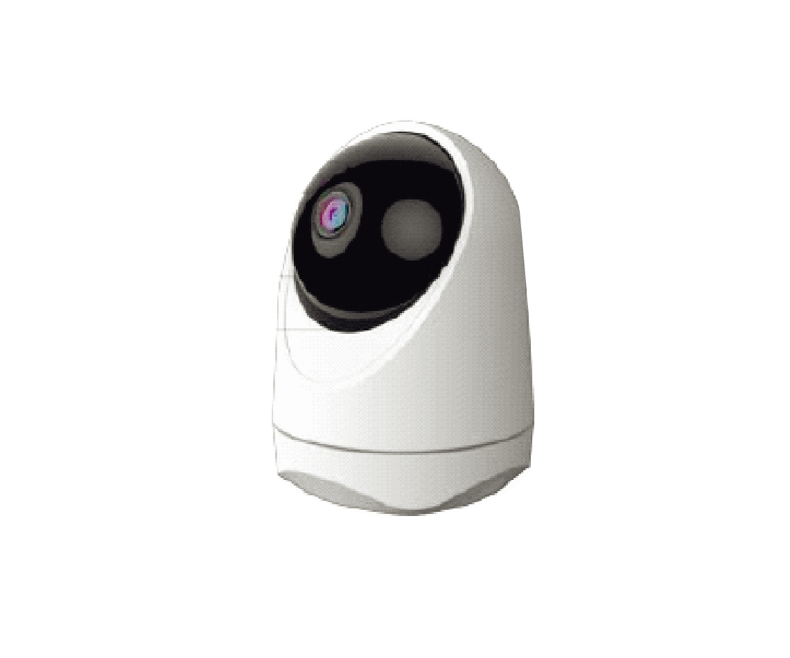 TS-C1001 Security Camera